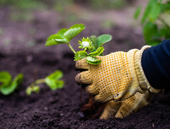 Skyes The Limit Landscape & Gardening